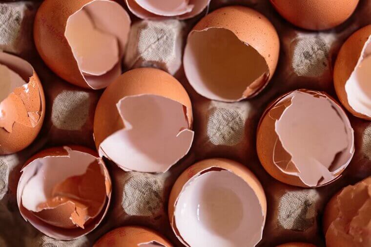 Eggshells