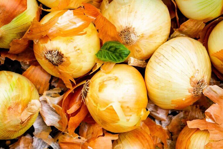 Onion Skins