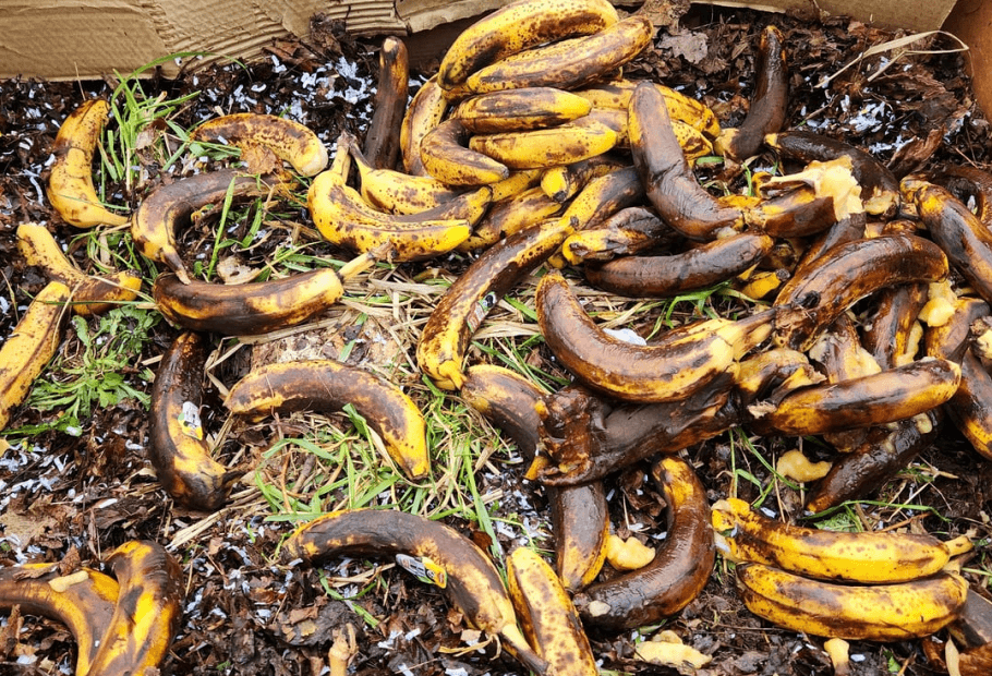Why Putting a Banana in Your Yard Is the Best Thing You Can Do This November