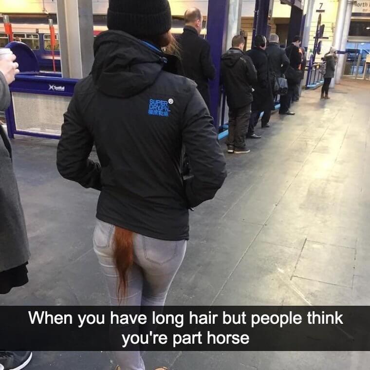 Horse Tails Are A Thing