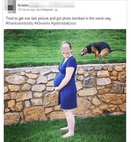 Cute Pregnancy Photo Turned All Wrong