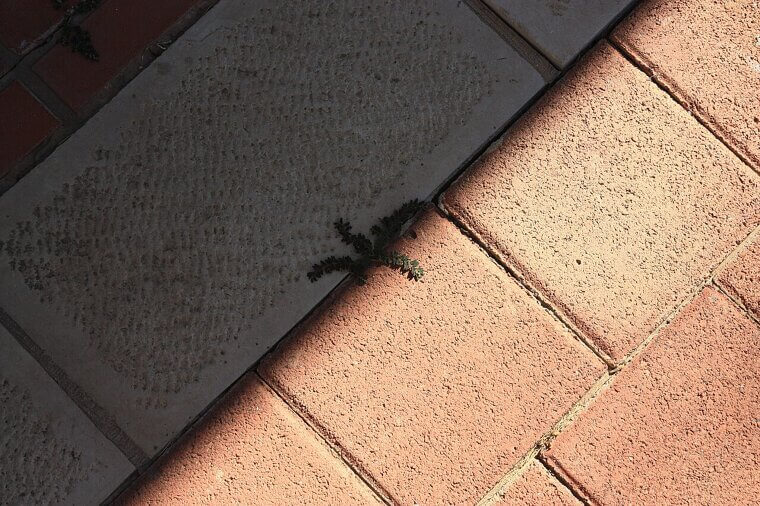 "Contrast" Flooring Edges for Spatial Confidence