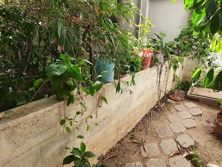 Acoustic Wall Panels That Look Like Fine Art