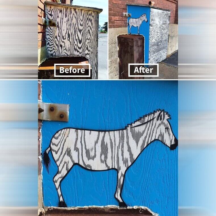 A Wooden Shed With a Cool Design Becomes a Zebra