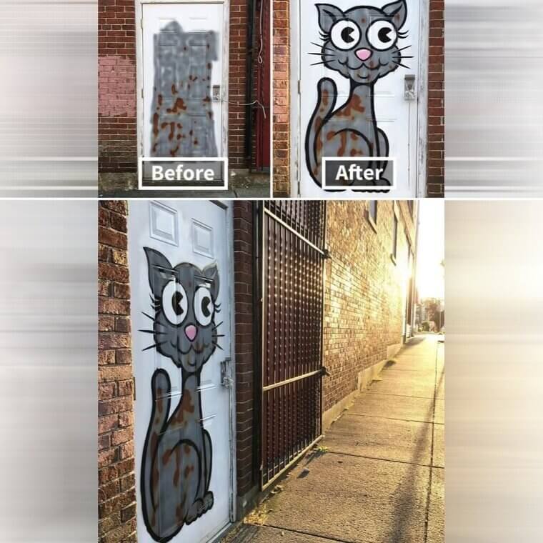 A Dirty Door Becomes an Alley Cat