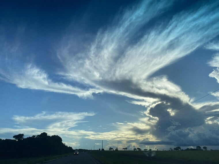 Checking the Weather by Looking at the Sky: The Original Forecast