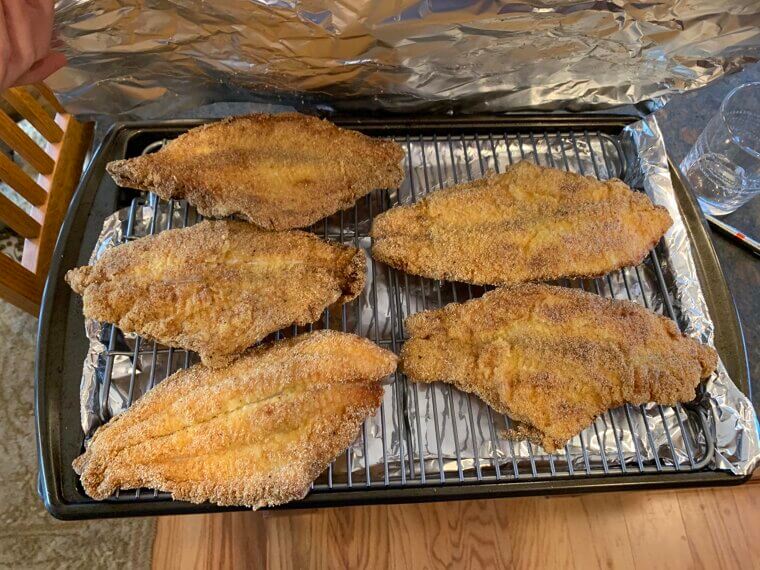 Catfish — Fried, Cornmeal-Crusted