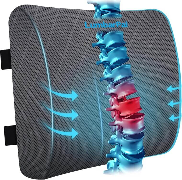 Lumbar Support Pillow for Office & Car Comfort - - Now 24% Off!