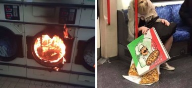 Feeling Down? These Photos Will Make Your Day So Much Better
