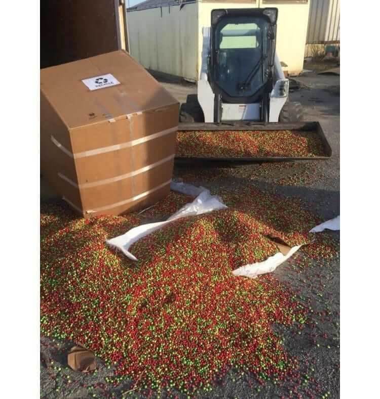 Yay… Skittles Everywhere