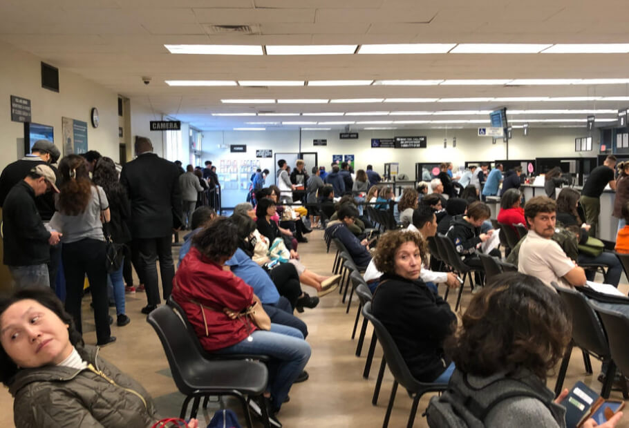 These Photos Will Make Anyone's Day So Much Better