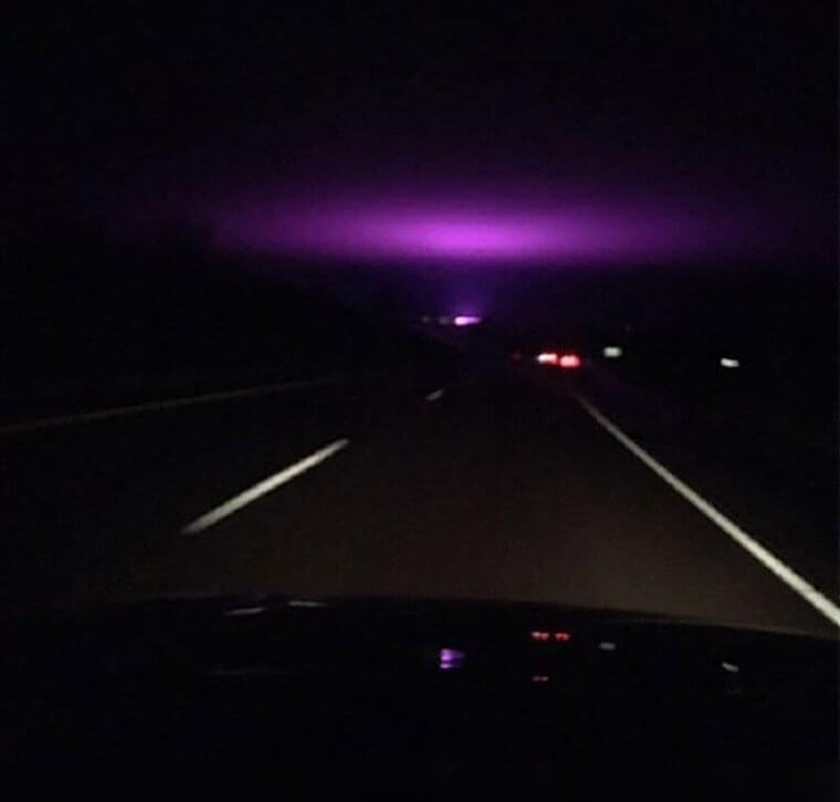 Do You Need Any Other Proof That Alien Exist?