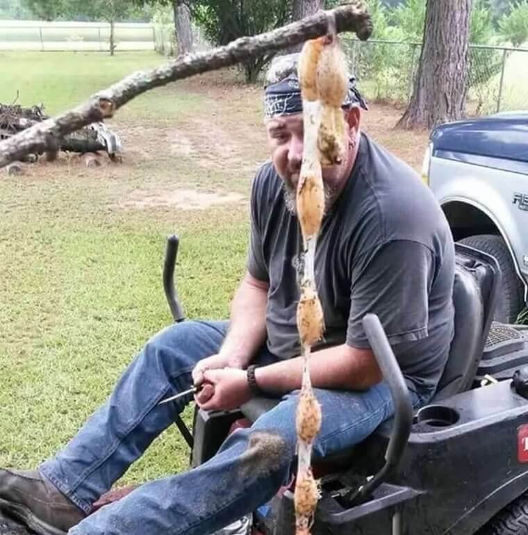 Snake Snack Found In Georgia