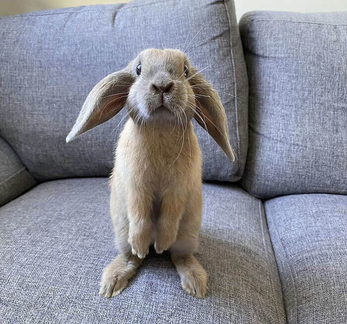 A Little Troublemaker