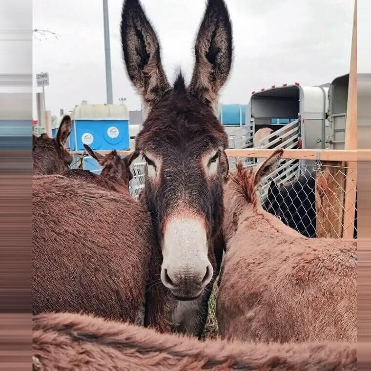 What You Looking at?