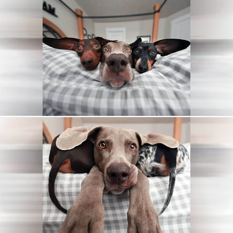 Just a Few Subwoofers