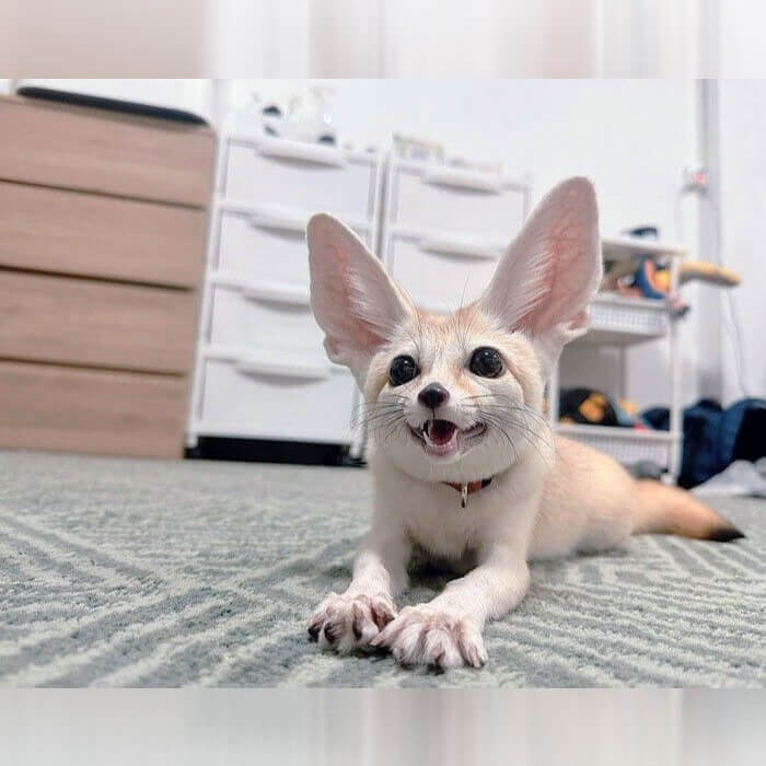 Smile for the Camera