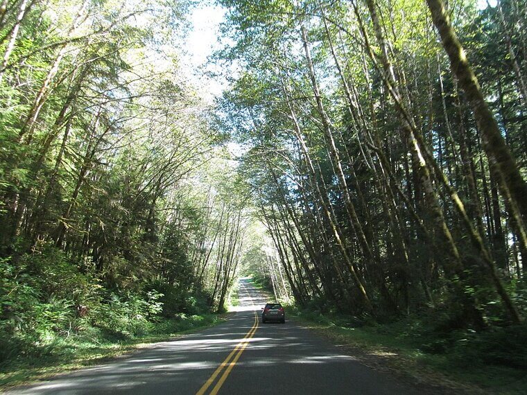 Most Expensive: Washington