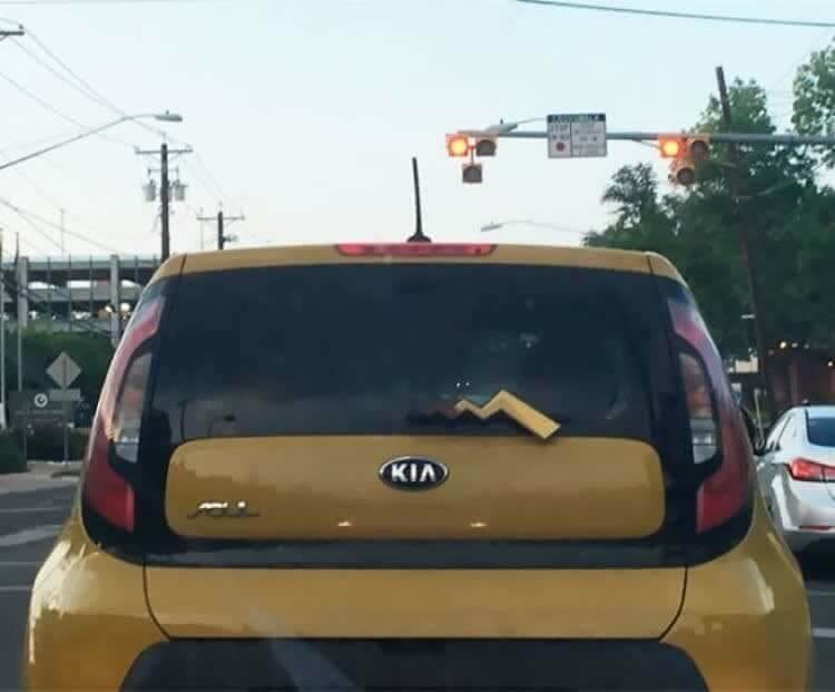 Pokemon Fan Spotted