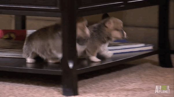 “You Jump, I Jump”