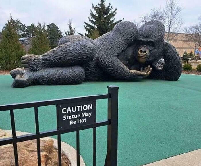 Gorilla Was Posing for His Online Dating Profile
