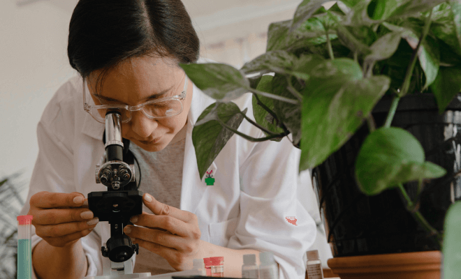 How Biotechnology Supports Environmental and Human Health