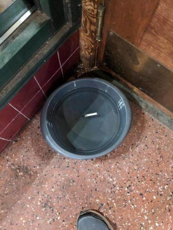 Someone Used The Dog Bowl As An Ashtray
