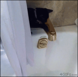 Котка се опита да пие от ваната, но не стана по план