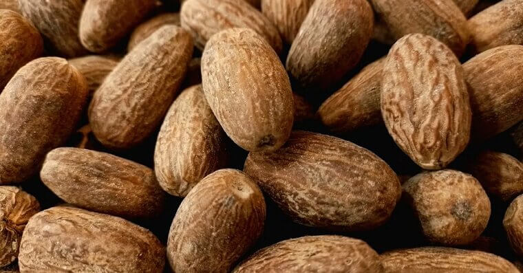 Warm Milk With Nutmeg