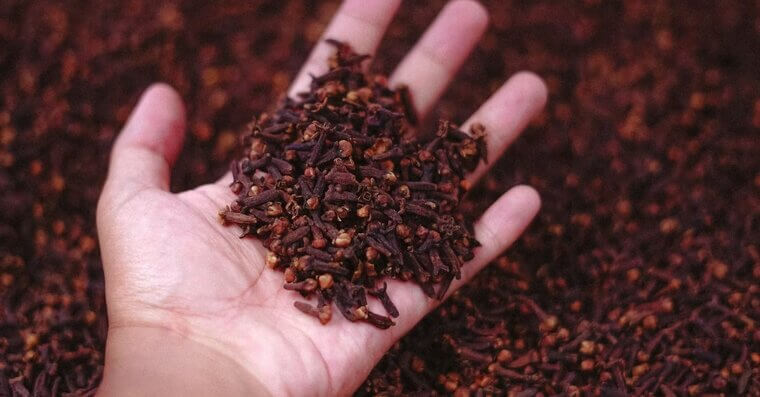 Clove Infusion
