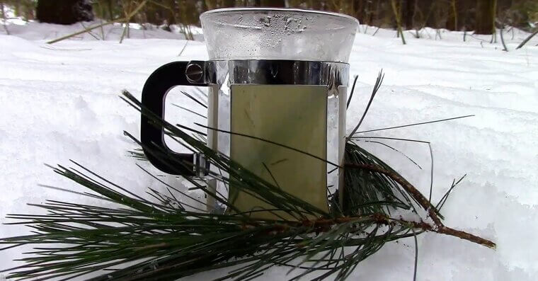 Pine Needle Tea