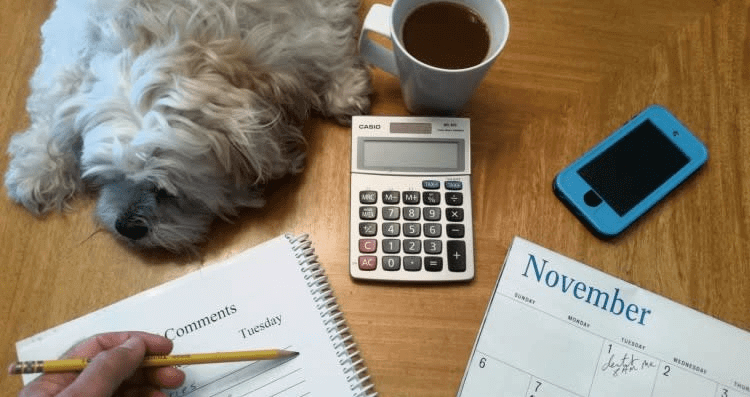 Do: Select Which Days Are Best For You To Have Your Canine Companion By Your Side
