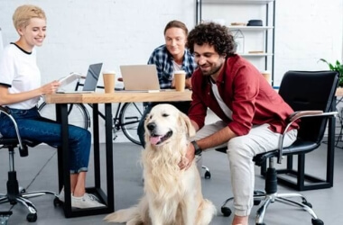 The Do’s And Don’ts Of Bringing Your Dog To Work