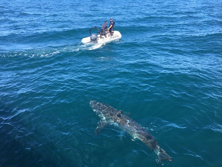 We're Gonna Need A Bigger Boat