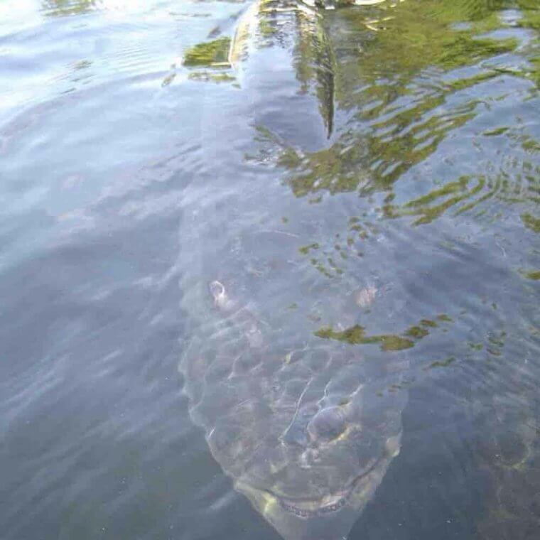 Come On In, The Water Is Lovely