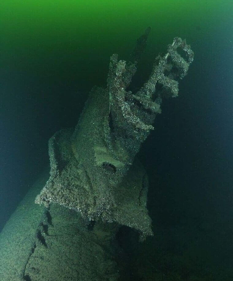 What's The Russian Word For Shark?