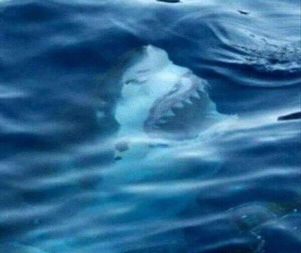 What's Wrong? The Water's Fine