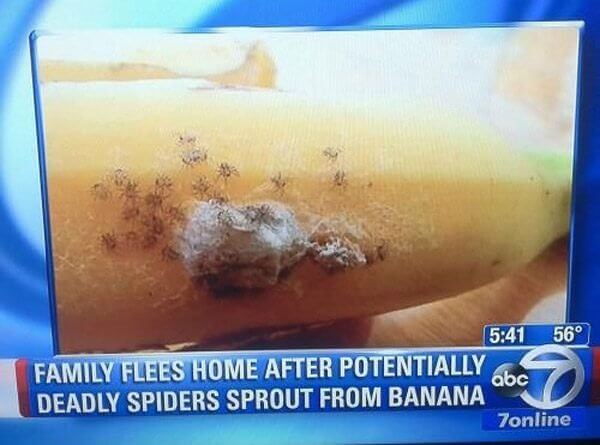 This Just in: Bananas Are Cancelled