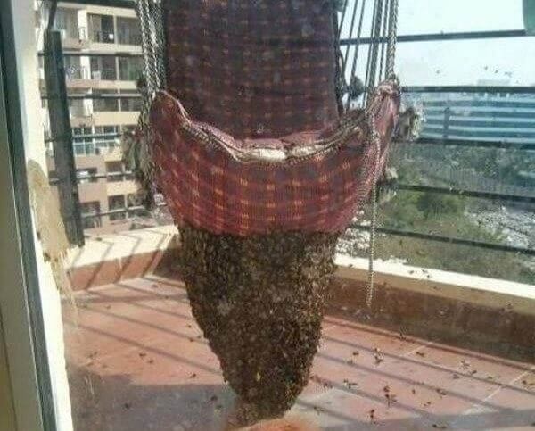 A Great Day to Stay Indoors