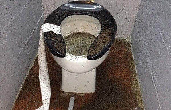 We'll Just Hold It In For a Bit