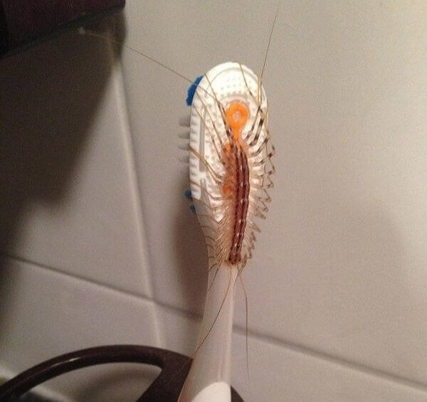 When Your Toothbrush Has a Few Extra Bristles