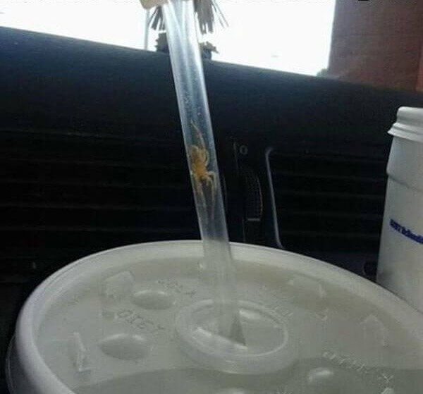 Yeah, That Wasn't Ice