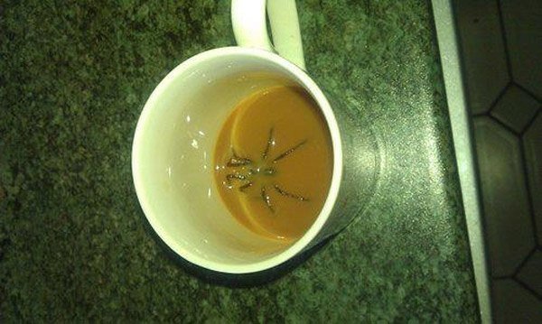 Nothing Like a Refreshing Cup of Joe To Start the Day