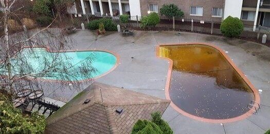 Makes You Wonder How They Keep the Other Pool Clean