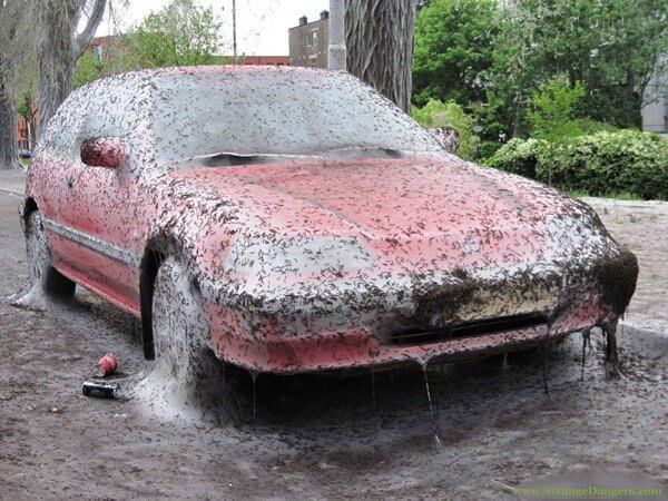Let's See Formula One Drivers Handle These Driving Conditions If They're Really All That