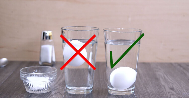 See If Eggs Are Edible
