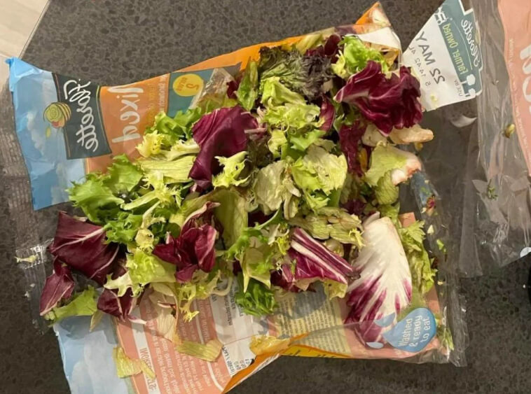 Make Lettuce Last