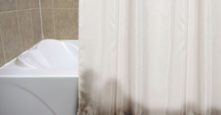 Prevent a Moldy Shower Curtain