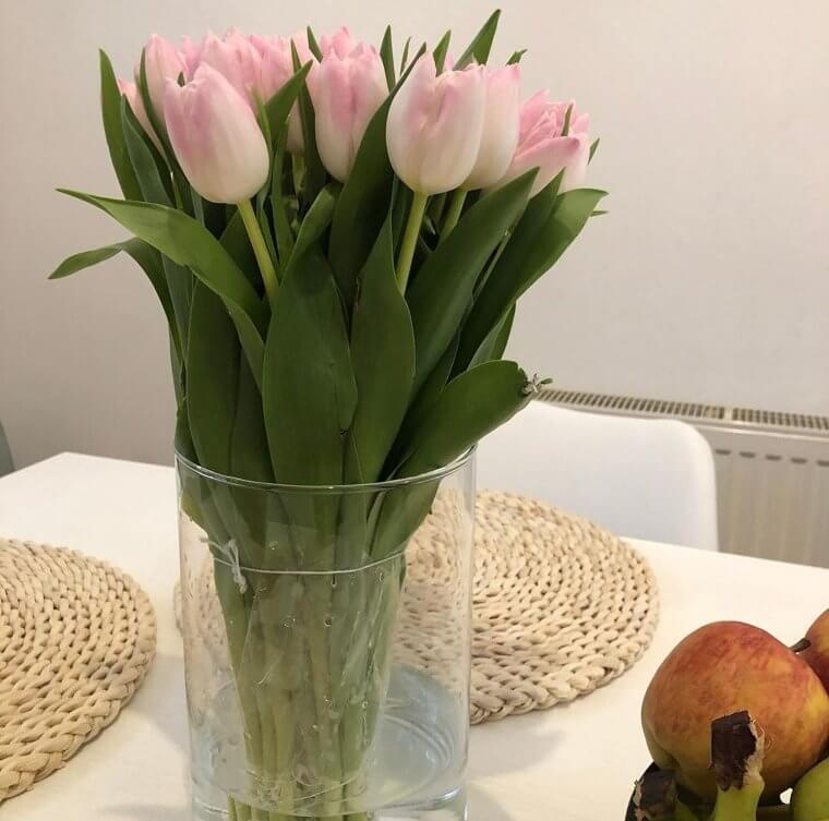 Conserve Cut Flowers