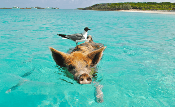 Les Destinations De Voyage Populaires Que Les Touristes Considèrent Surcotées